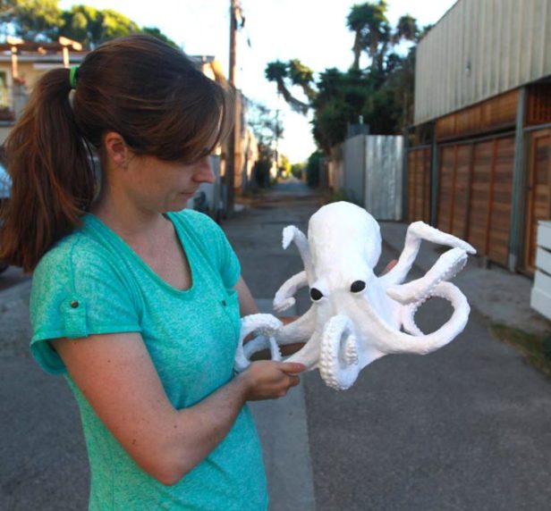 jana-lenoir-privette-octopus